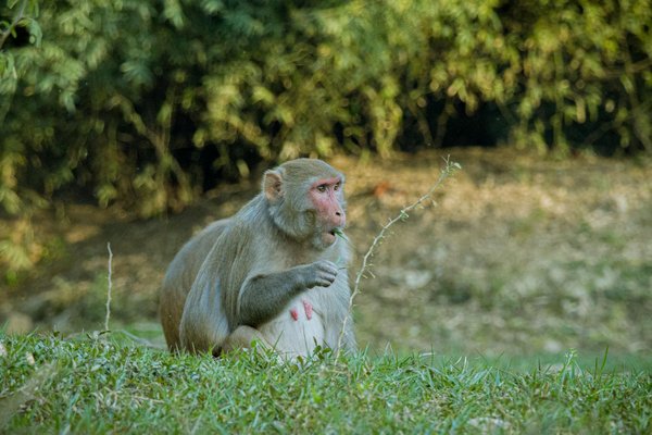Personnalisez votre décoration avec un portrait manga : idées et inspirations