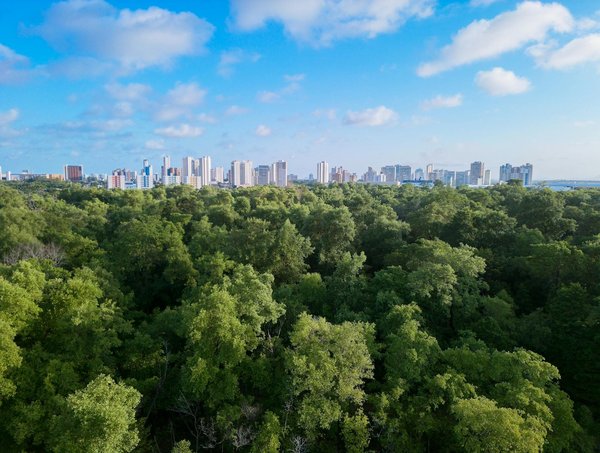 Le Centre dentaire GK propose-t-ilCentre dentaire GK : séances d'information sur la santé bucco-dentaire ?