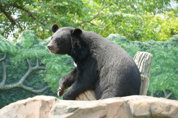 Box ludique : conseils pour choisir le bon