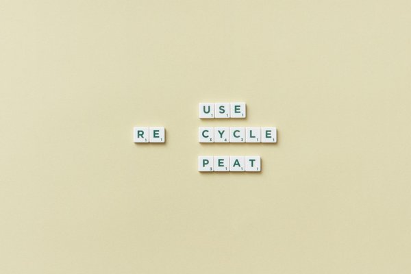 Quels bénéfices pour l'environnement et l'économie des toilettes sèches ?